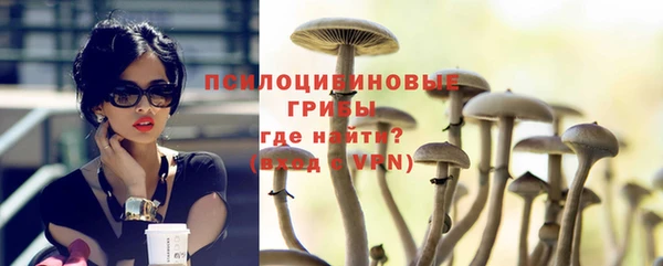 мяу мяу мука Каменногорск