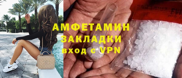 ПСИЛОЦИБИНОВЫЕ ГРИБЫ Каменка