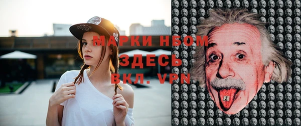 ПСИЛОЦИБИНОВЫЕ ГРИБЫ Каменка