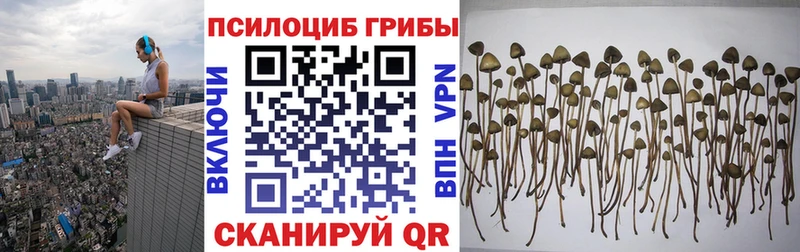 Псилоцибиновые грибы GOLDEN TEACHER  купить наркотик  Мглин 